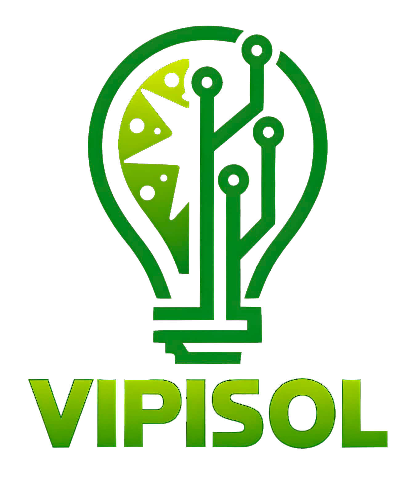 Vipisol, servicios informaticos Logo